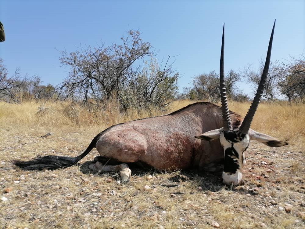Oryx